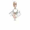 Charm Pendant Family Rose PANDORA MOMENTS