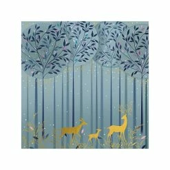 Coffret De 8 Cartes De Voeux -Pandora || Janod Soldes coffret de 8 cartes de voeux 2