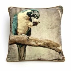 Coussin Perroquet