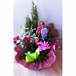 Fleurissement De Tombe En Coupe De Plantes Naturelles