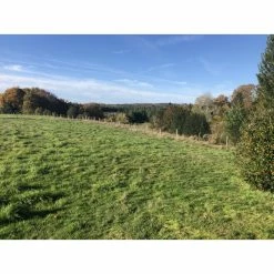 Fournil Avec Possibilité D'agrandissement -Pandora || Janod Soldes fournil avec possibilite d agrandissement 3