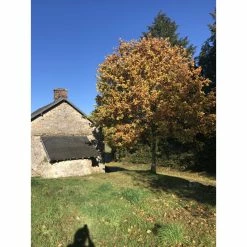 Fournil Avec Possibilité D'agrandissement -Pandora || Janod Soldes fournil avec possibilite d agrandissement 5