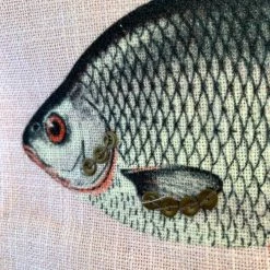 Pochette Fish Pink -Pandora || Janod Soldes pochette fish pink 2