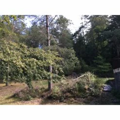 Propriété De 17ha -Pandora || Janod Soldes propriete 3