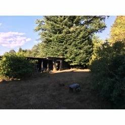 Propriété Entre Bort Les Orgues Et Ussel -Pandora || Janod Soldes propriete entre bort les orgues et ussel 14