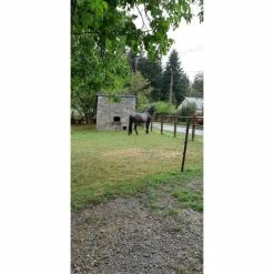 Propriété Entre Bort Les Orgues Et Ussel -Pandora || Janod Soldes propriete entre bort les orgues et ussel 9