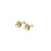 Puces D'oreilles Leopard